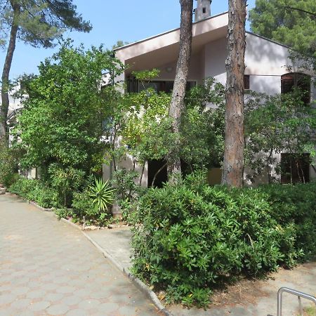 Soline Beach Apartments Biograd Na Moru Dış mekan fotoğraf