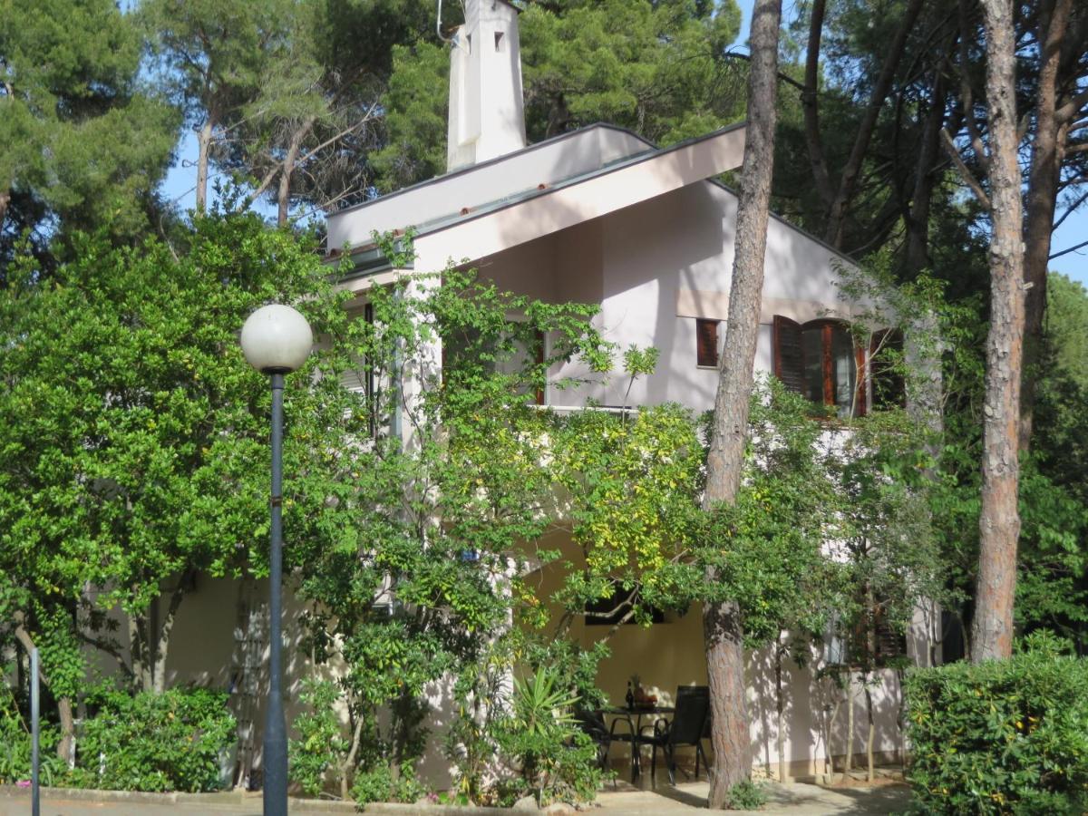 Soline Beach Apartments Biograd Na Moru Dış mekan fotoğraf