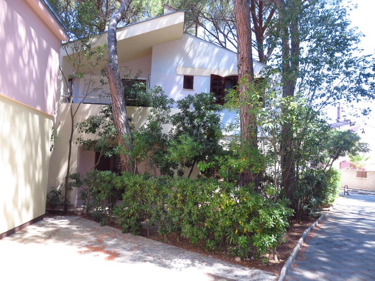 Soline Beach Apartments Biograd Na Moru Dış mekan fotoğraf
