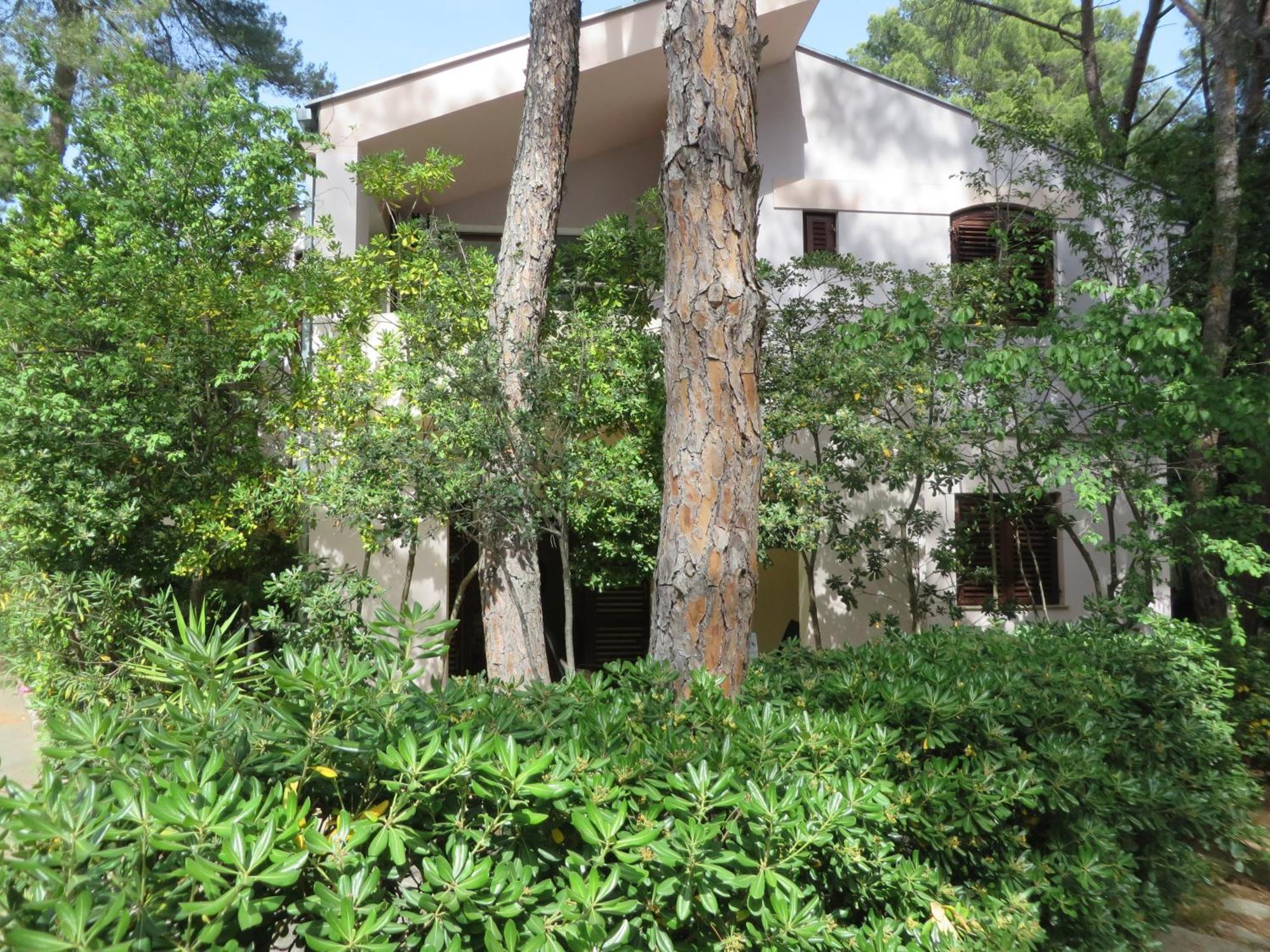 Soline Beach Apartments Biograd Na Moru Oda fotoğraf